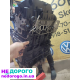 Двигун BMM 2.0 TDI для Golf Skoda Caddy Passat b6, випущений в Україні.