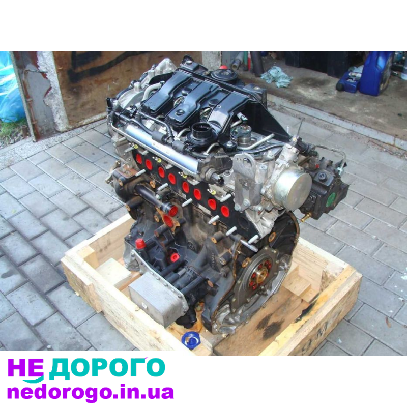 Двигун Renault K9K, 1.5 л, дизель, 2005 р. в.