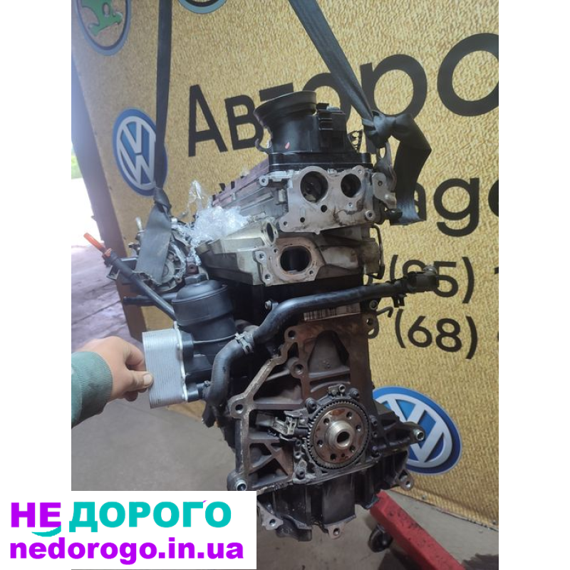 Двигун мотор 1.6 TDI для Passat Skoda Golf Caddy, 2015 рік, дизель, об'єм 1.6 л.