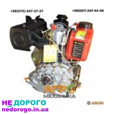 Дизельний двигун F173 Шліц 25 мм, виробництво Україна, об'єм 173 см³, паливо - дизельне.