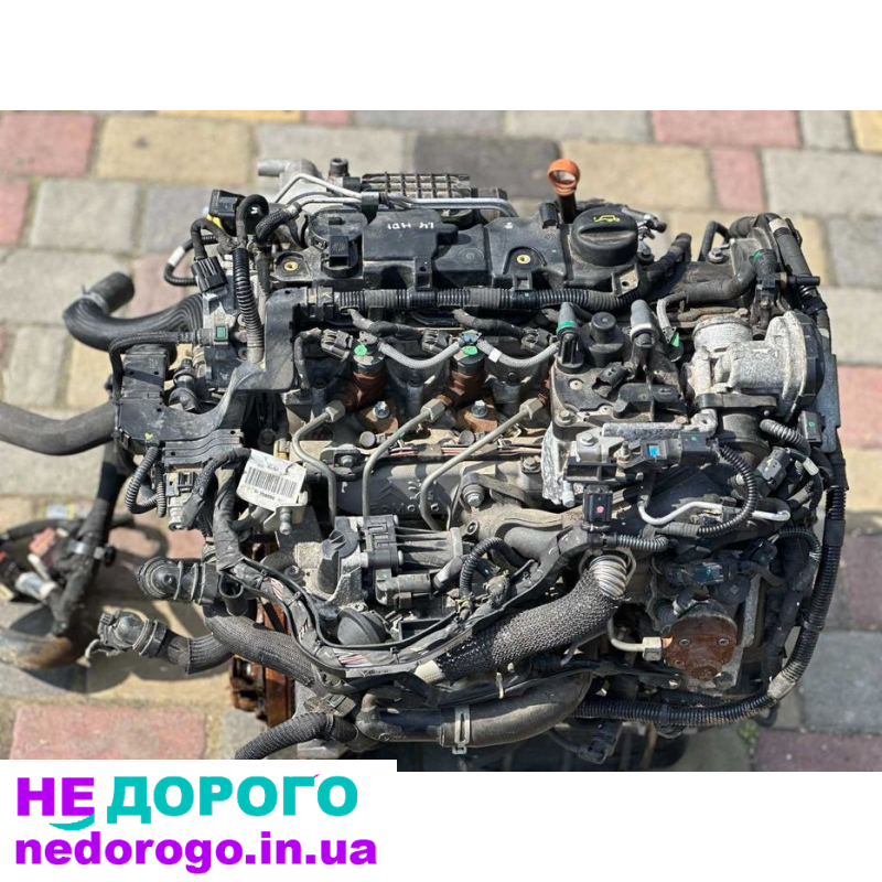 Двигатель Peugeot Citroen Ford 1.4 HDI 8HR 9684143880, 2008, дизель, 1.4 л.