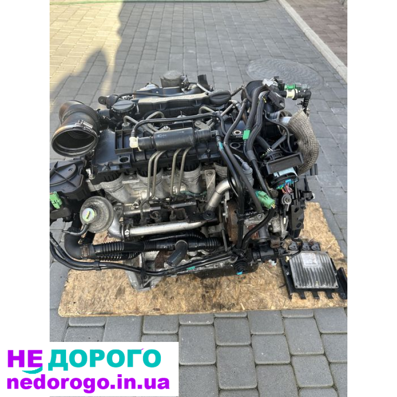 Двигун 1.4 Нді для Сітроен/Форд Фокус/Партнер/Скудо/Мазда/Вольво. Об'єм - 1.4 л, бензин, рік випуску - не вказано.