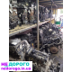 Двигун 1.4 TDI CUSB/CUSA/CUTA для Skoda Fabia/Rapid/Polo, випущений в Україні.