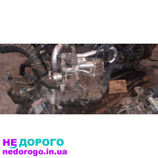 Двигун 1.5 dci Euro 4 для Рено Кенго 2000 р., дизель, об'єм 1.5 л.