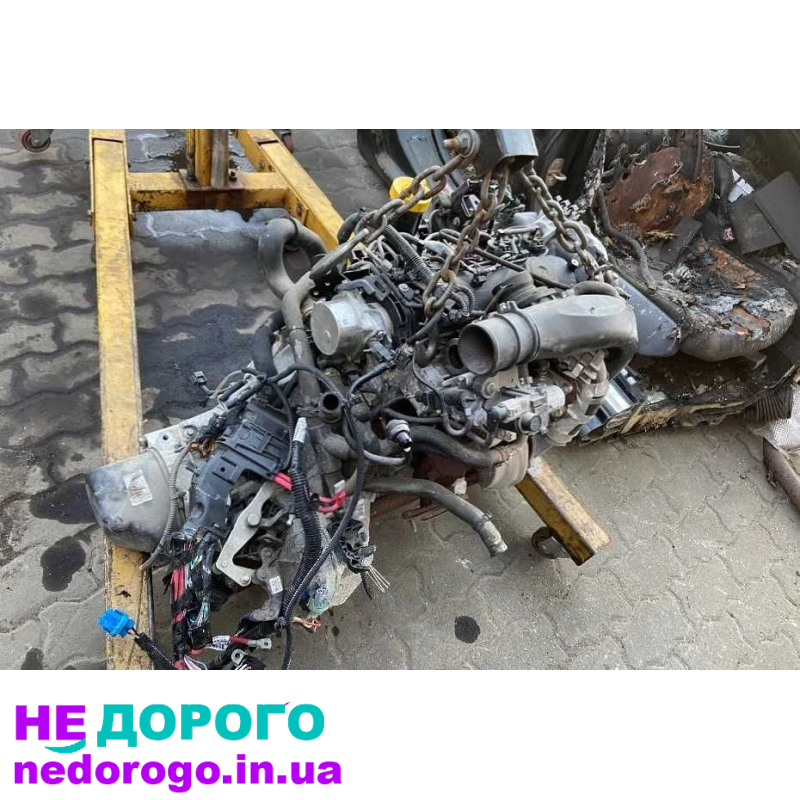 Двигун Renault K9K 608, 1.5 л, бензин, з БОШ для Кенго, Меган, Лагуна.