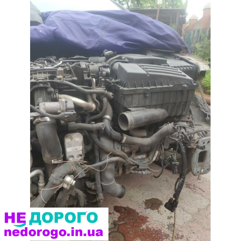 Двигун 1.6 дизель Volkswagen Golf 6, генератор, стартер, турбіна. 2012 рік, об'єм двигуна - 1.6 літра, паливо - дизель.