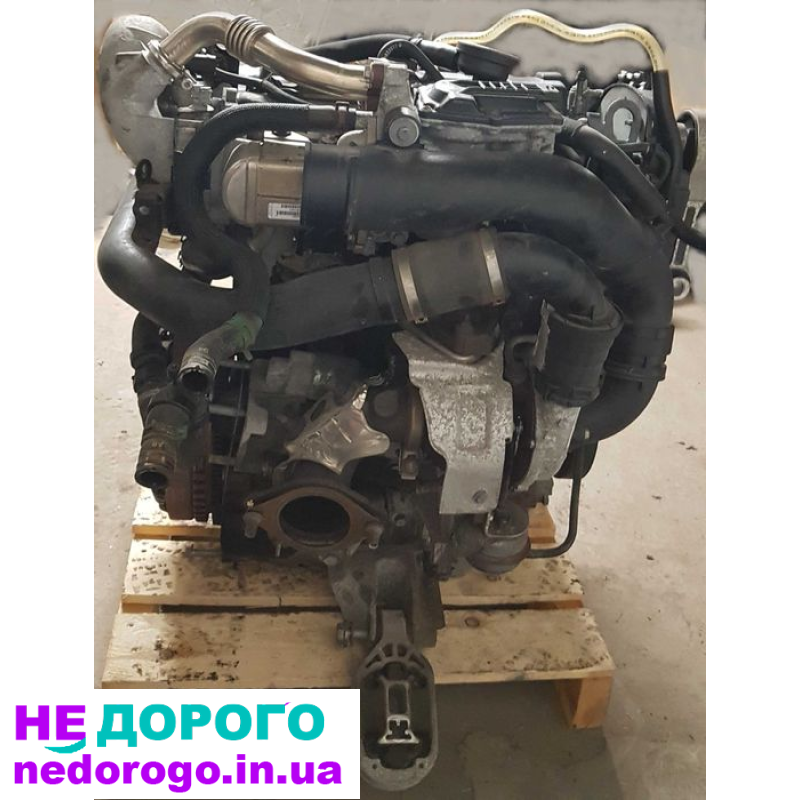 Двигун 1.9 dCi F9Q872 для Renault Scenic/Megane 3, 2009 р., дизель.