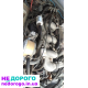 Двигун 2.9 cosworth (АКПП) для Форд Скорпіо 2, 1990 рік, об'єм 2.9 л, бензин.