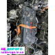 Двигун Toyota 2AZFE, Camry, 2.4л, 2003, бензин, Японія, контрактний.