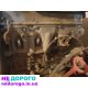 Двигун 2.0 бензин VW Audi 1990-1999 Golf B3 B4 2.0 л.