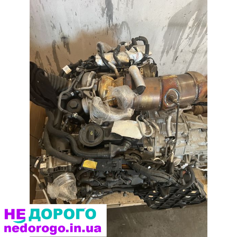 Двигун Porsche Cayenne 9Y (2020) 3.0 бензин 2995 см³.