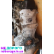 Двигун AKL 1.6 Skoda Octavia Volkswagen Audi, 2000 р.в., бензин, 1.6 л.