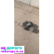 Двигун Альфа Дельта 72М, механіка, український, 2019, 2.0 л, бензин.