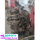 Двигун Audi CGL 2.0 TDI, 201 р.в., 65тис.км, дизель, A4 A5 A6 Q5.