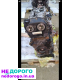 Двигун Audi A4 B9 CYMC, АКПП SKE, 2019, 2.0 л бензин.