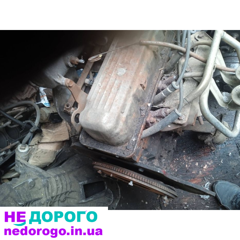 Двигун бензиновий Ford Transit, модель, рік, об'єм палива.