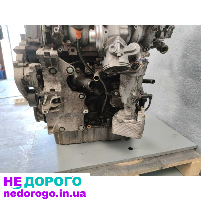 Двигун BKD, 2.0 TDI, 103KW, Audi Seat Skoda Volkswagen, 2001, дизель.
