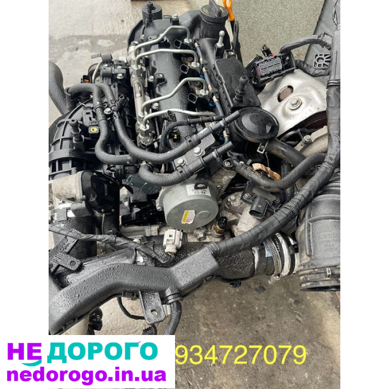 Двигун D4HB 2.2 CRDi для Hyundai Santa Fe та Kia Sorento, 2010 рік, дизель, 2.2 л.