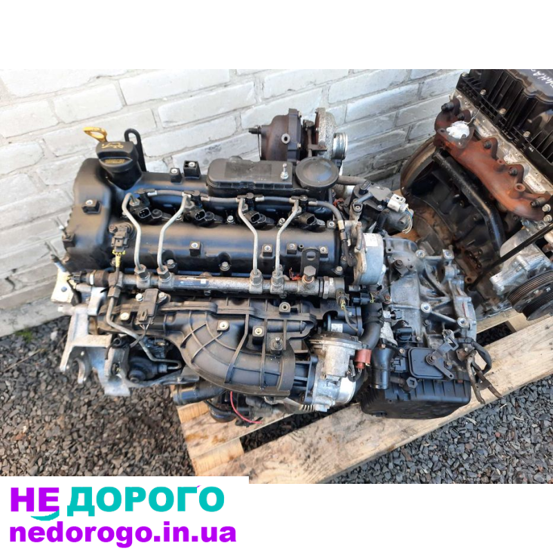 Двигун D4HB, Hyundai Santa Fe 3, 2012, 2.2 л, дизель. Двигун Kia Sorento 2.2 CRDI, 2015, 2.2 л, дизель.