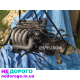 Двигун 1.6 ADP для Audi A4 Passat B5, 2000 рік, бензин, об'єм 1.6 л.