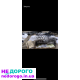 Двигун Porsche Panamera 970 4620 2010 4.8 бензин.