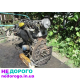 Двигун Renault F9Q 1.9, дизель, українська версія, встановлюється на Трафік, Меган, Сценік.