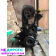 Двигун Renault Trafic/Vauxhall Vivaro 1.9 F9Q/F9K, 2001-2014, 1.9 л, дизель.