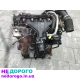 Двигун Fiat Scudo 2.0 Mjet, Citroen Jumpy 2.0 HDI, Peugeot Expert 2.0, 2008-2016, 2.0 л, дизель.