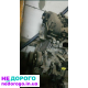 Двигун Ford 2.0, Zetec, 2000 рік, бензиновий, 1999 куб. см.