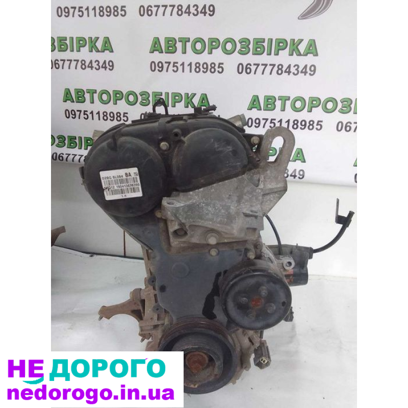 Двигун Ford Fiesta mk7, Zetec, 2012, 1.6 л, бензин.