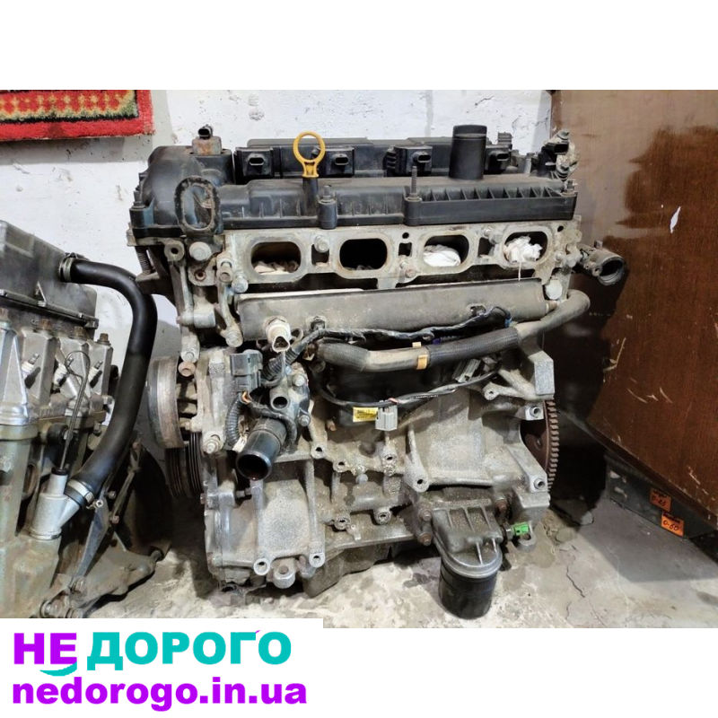 Двигун Ford Focus 3, Zetec, 2011, 1.6 л, бензин.