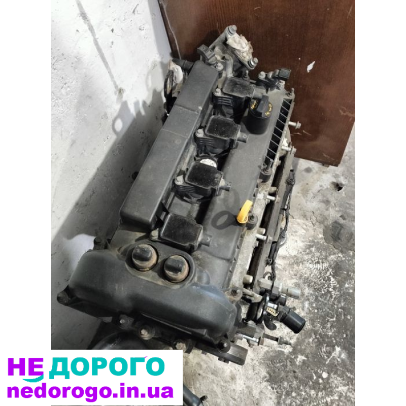 Двигун Ford Focus 3, Zetec, 2011, 1.6 л, бензин.