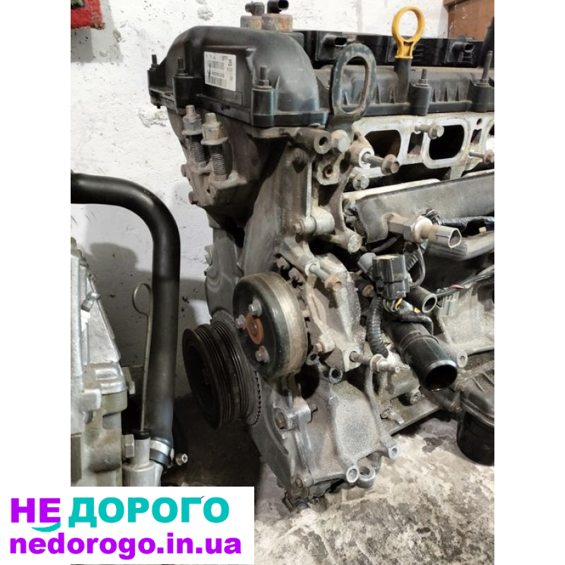 Двигун Ford Focus 3, Zetec, 2011, 1.6 л, бензин.