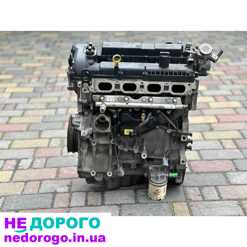 Двигун Ford Focus mk3 2.0 deftp usa 2012 2.0 л бензин.
