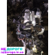 Двигун Ford 1.8 тд для Ford Connect та Focus, випущений в Україні.