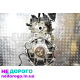 Двигун G4FA 1.4, робочий, стук, Гідро-компенсатори, Hyundai Accent, 2010, 1.4 л, бензин.