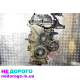 Двигун G4FA 1.4, робочий, стук, Гідро-компенсатори, Hyundai Accent, 2010, 1.4 л, бензин.