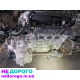 Двигун G6DG 3.0л.GDI для Hyundai Azera,Grandeur. FWD, коробка передач.
