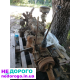 Двигун ГАЗ 51, модель 51, випущений у 1951 році, об'єм 3,5 літра, працює на бензині.
