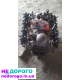 Двигун ГАЗ-53, модель 53-12, випущений у 1961 році, об'єм 4,25 літра, працює на бензині.