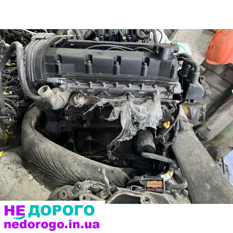 Двигун F16D3 для Chevrolet Aveo та Lacetti, 1.6 л, бензин, виробництво Україна.