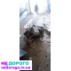 Двигун G16D, КПП F16D3, Део Нексія 2, 2008, 1.6 л, бензин.