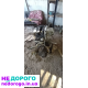 Двигун G16D, КПП F16D3, Део Нексія 2, 2008, 1.6 л, бензин.