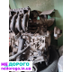 Двигун KFV для Peugeot Citroen 1.4 бензин, 2005 рік, 1.4 л, відмінний стан, готовий до встановлення.
