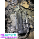 Двигун L5-VE Mazda 6, CX-7, 2.5л 07-12р. Гарантія, доставка по Україні. Контрактний, відмінний стан.