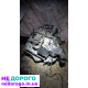Двигун Lexus LS430 3UZ-FE, 2000 рік, 4.3 л, бензин.