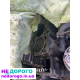 Двигун М43Б19, BMW, випущений в Україні, 1.9 л, бензин.