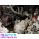 Двигун МАТИЗ 0,8 2010, 0,8 л бензин.