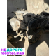 Двигун Mazda RF-2A, 2.0Дизель, 2015 рік, об'єм 2000 см³.