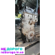 Двигун Mazda R2AA 2.2 дизель, 2008 рік, об'єм 2.2 літра, паливо - дизельне.